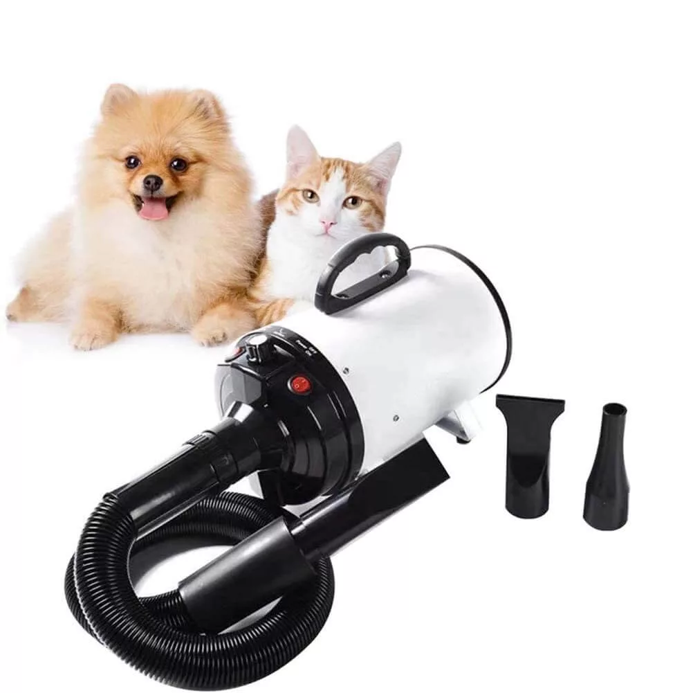 Honden Föhn