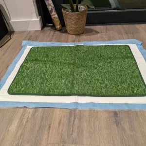 Ontvangen Toilettrainingsgrasmat voor hond van klant T****e.
