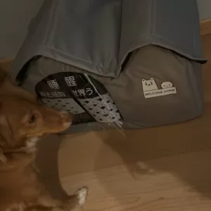 Ontvangen Airconditioned Zomer Hondenhok van klant L***a