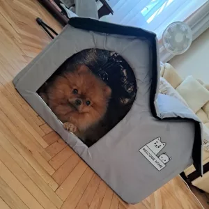 Ontvangen airconditioned zomerhondenhuis van klant M***a