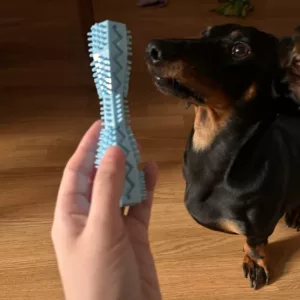 Ontvangen Tandreinigende Kauwspeelgoed voor Hond van klant N****e.