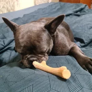 Ontvangen houten gewei kauwstok voor honden van klant B***n.