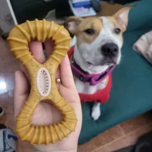 Ontvangen Onverwoestbaar Houten Kauwspeelgoed voor Tandenreiniging van klant B****e.