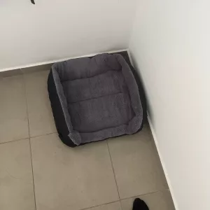 Ontvangen wasbaar hondenbed pluche matras van klant B****p.