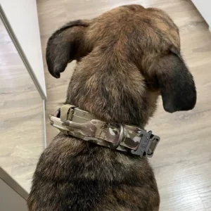 Ontvangen Tactical Trainingshalsband met metalen gesp van klant H****h.
