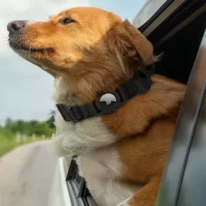 airtag dog collar, tactical dog collar, waterproof dog collar, dog collar with handle, dog collar with airtag holder, military dog collar