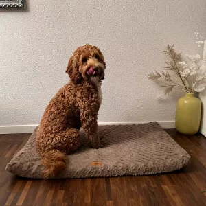 Ontvangen kort pluche hondenbed met afneembare hoes van klant L*****n.