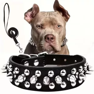 spiked dog collar, collar and leash set, adjustable dog collar