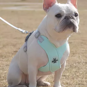 dog harness, dog harness leash set, dog vest harness, dog harness leash, reflective dog harness