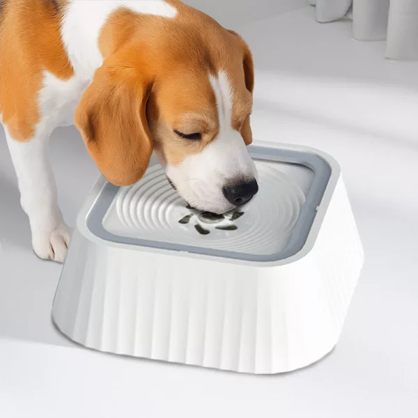 dog water fountain, dog water bowl, dog water dispenser, anti splash dog bowl