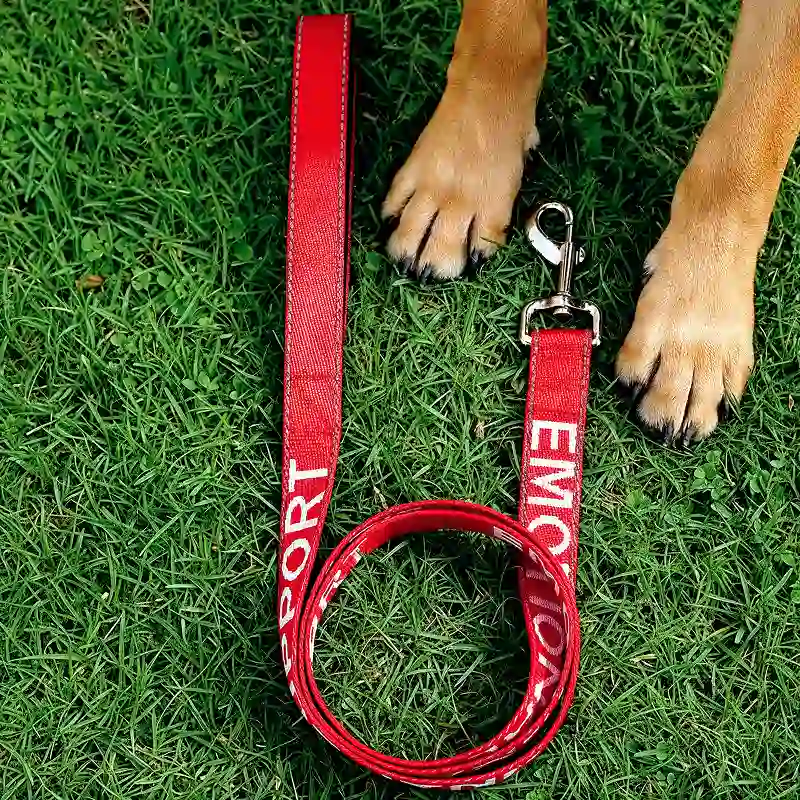 red dog leash